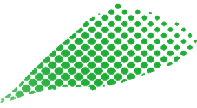 zcmflexo